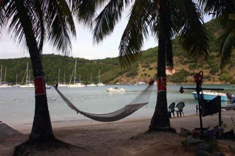 foxy's taboo|foxy's webcam jost van dyke.